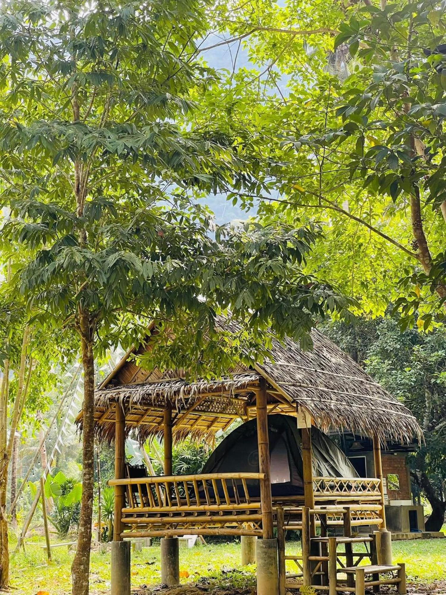 Khaosok Monkeys & River Camps Khao Sok National Park 외부 사진